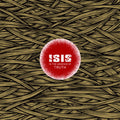 Isis - In The Absence of Truth (2LP Red Vinyl) (New Vinyl)