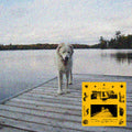 Jaguar Sun - Daisy (Black & Yellow Swirl Vinyl) (New Vinyl)