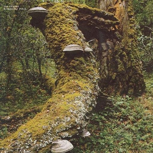 Jan Jelinek - Kosmischer Pitch (New Vinyl)