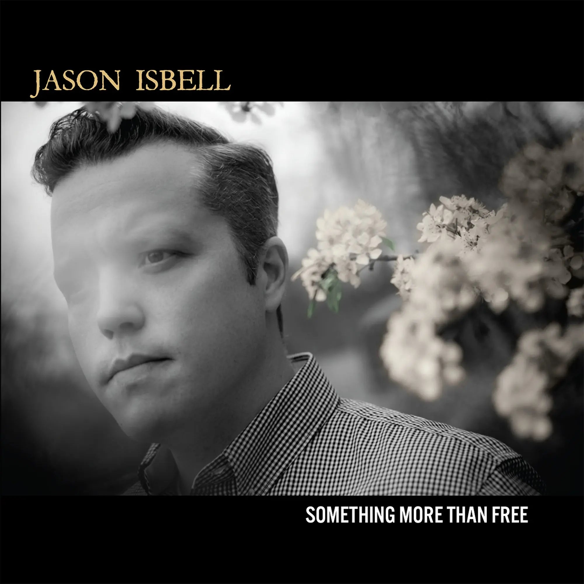 Jason Isbell - Something More Than Free (10 Year Anniversary Edition) (New CD)