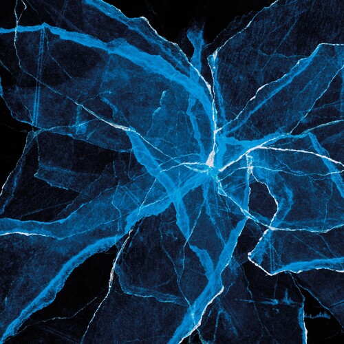 Jason Moran, Blankfor.Ms & Marcus Gilmore - Shards (New CD)