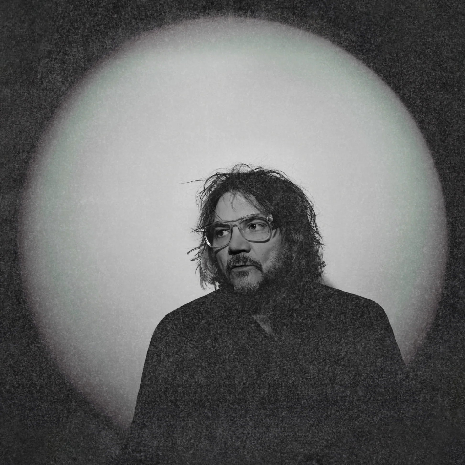 Jeff Tweedy - Twilight Override (New Vinyl)