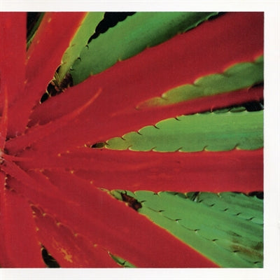 Jejune - This Afternoons Malady (2LP) (New Vinyl)