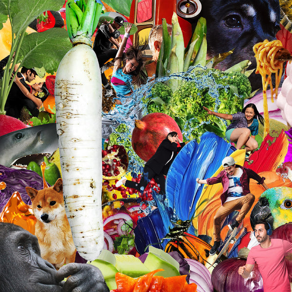 Jetski - The Radiant Radish (New CD)