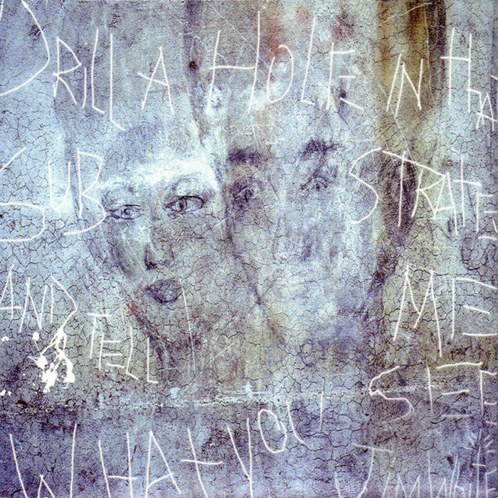 Jim White - Drill a Hole in that Substrate and Tell Me What You See (20th Anniversary) (New Vinyl)