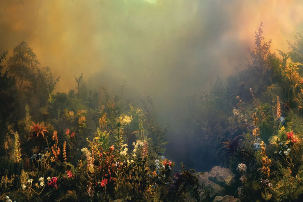 Joanna Newsom - Divers (New Cassette)