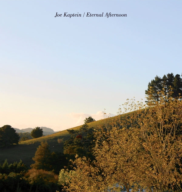 Joe Kaptein - Eternal Afternoons (New Vinyl)