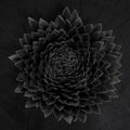 Jonsi - Obsidian (New Vinyl)