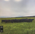 Josh Cole - Kind Mind (New Vinyl)