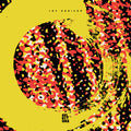 Joy Orbison - Selectors 004 (New CD)