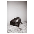 Julia Holter - Materia (New CD)
