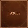 Jungle - Sunshine (New CD)