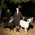 Jutes - Chin Up Beautiful (New CD)