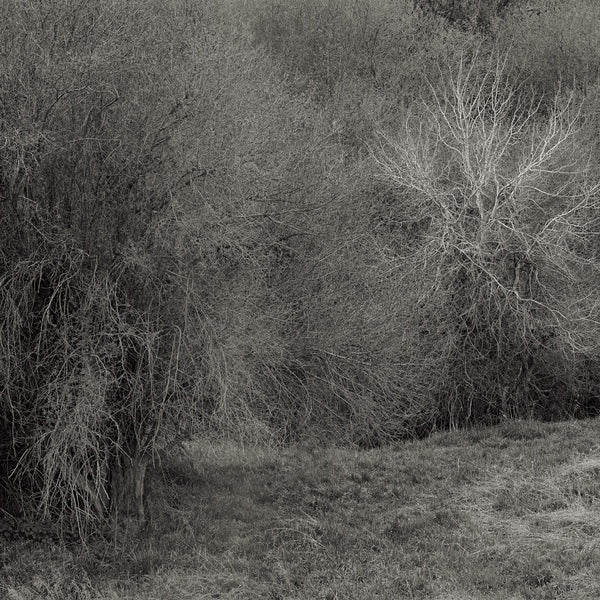 K. Leimer - Atrophies For Piano (New Vinyl)
