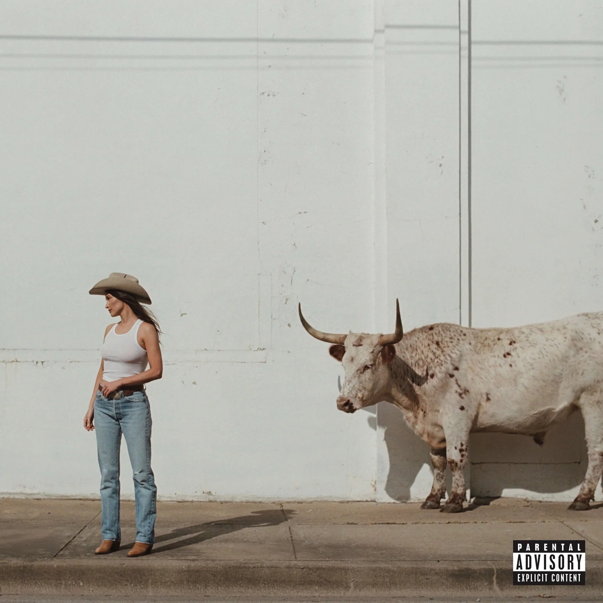 Kacey Musgraves - Middle Of Nowhere (New CD)