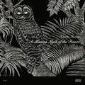 Kaoru Inoue - A Missing Myth of the Future (New Vinyl)
