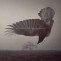 Katatonia - The Fall Of Hearts (10th Anniversary) (Pearl Dawn Vinyl) (New Vinyl)