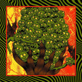 King Gizzard And The Lizard Wizard - Live In Houston '24 (Triple Gatefold - Splatter Vinyl) (New Vinyl)