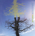 Laetitia Sadier – Rooting For Love (New CD)