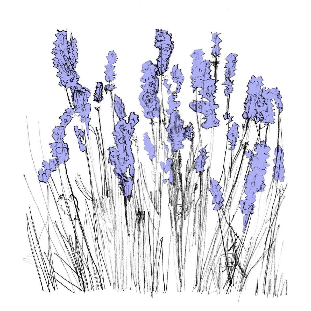 Lapalace - Music To Watch Seeds Grow By 006: Lapalace (Lavender) (New Cassette)