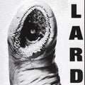 Lard - The Power Of Lard EP (New Vinyl)