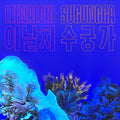 Leenalchi - Sugungga (New CD)
