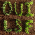 Les Savy Fav - Oui (Green Colour) (New Vinyl)