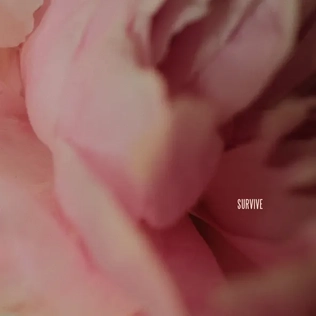 Lewis Capaldi - Survive EP (New CD)