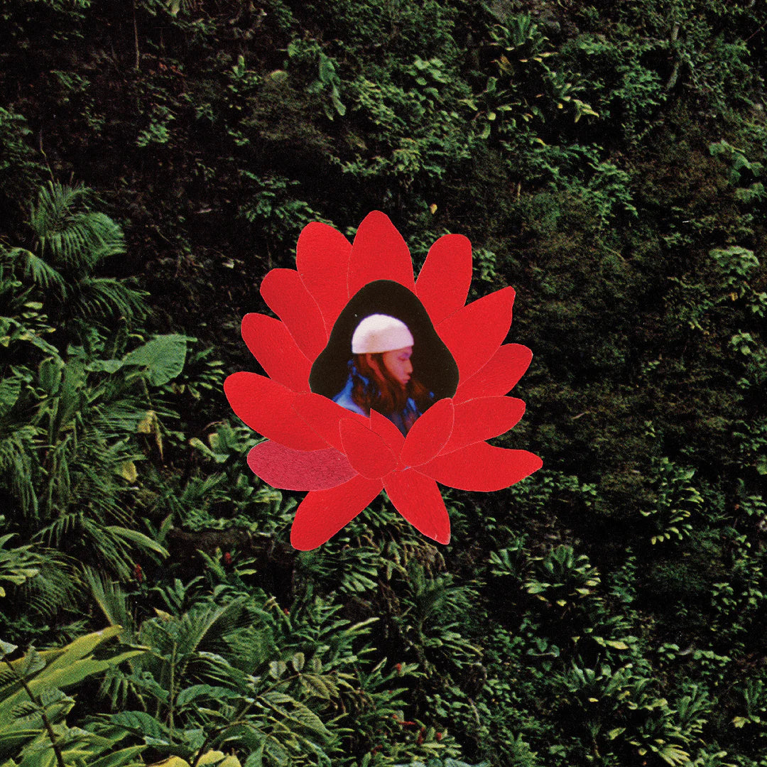 Lionmilk - When The Flowers Bloom (New Vinyl)