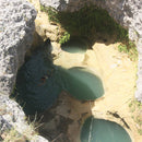 Little Mazarn - Texas River Song (New Vinyl)