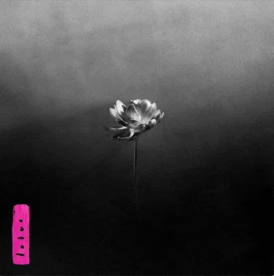 Little Simz - Lotus (New Vinyl)