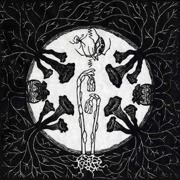 Magic Tuber String Band - Tarantism (New vinyl)