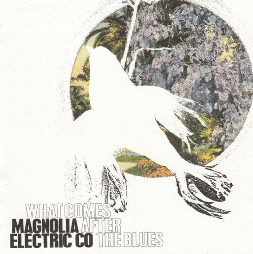 Magnolia Electric Co. - What Comes After The Blues (New Vinyl)