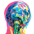 Mandy, Indiana - URGH (New CD)