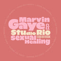 Marvin Gaye and Studio Rio - Sexual Healing (New 7")