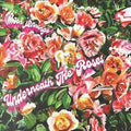 Mason Jennings - Underneath The Roses (New Vinyl)