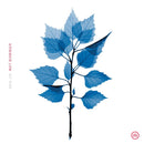 Matt Berninger - Get Sunk (New Vinyl)