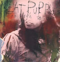 Meat Puppets - Too High To Die (New Vinyl)