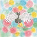 Mei Semones - Animaru (New CD)