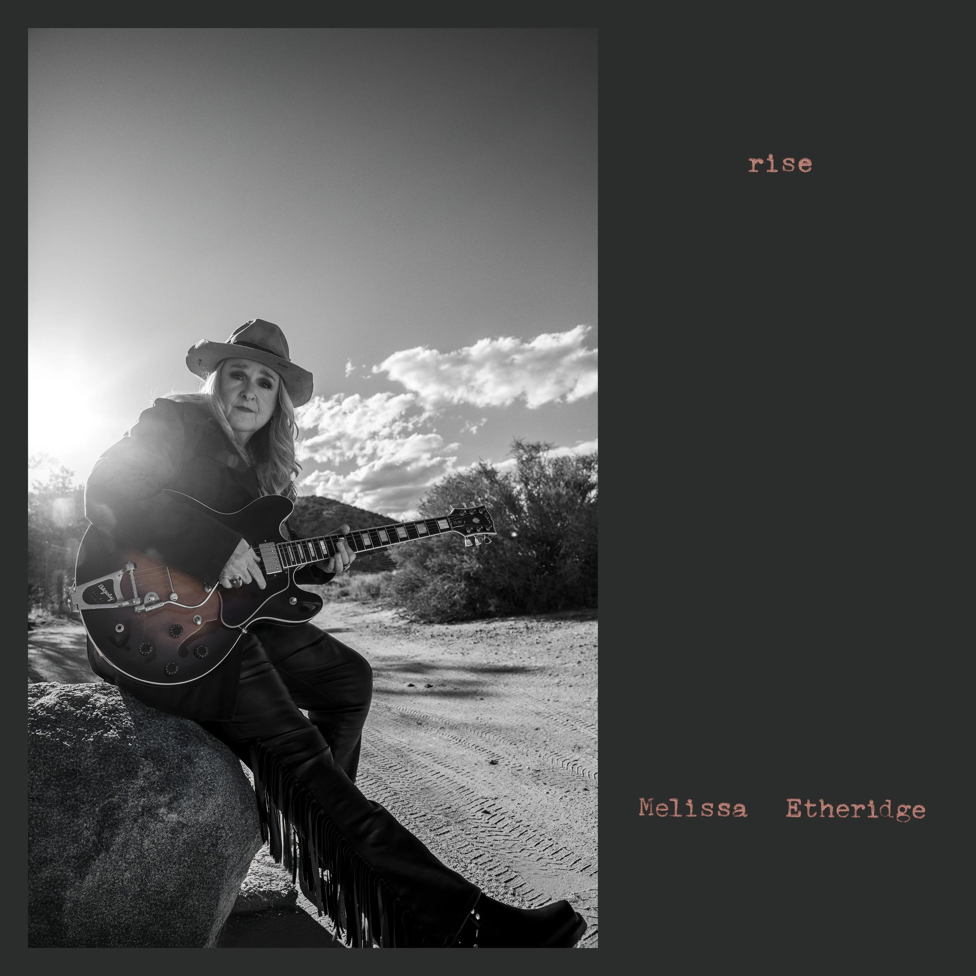 Melissa Etheridge - Rise (New Vinyl)