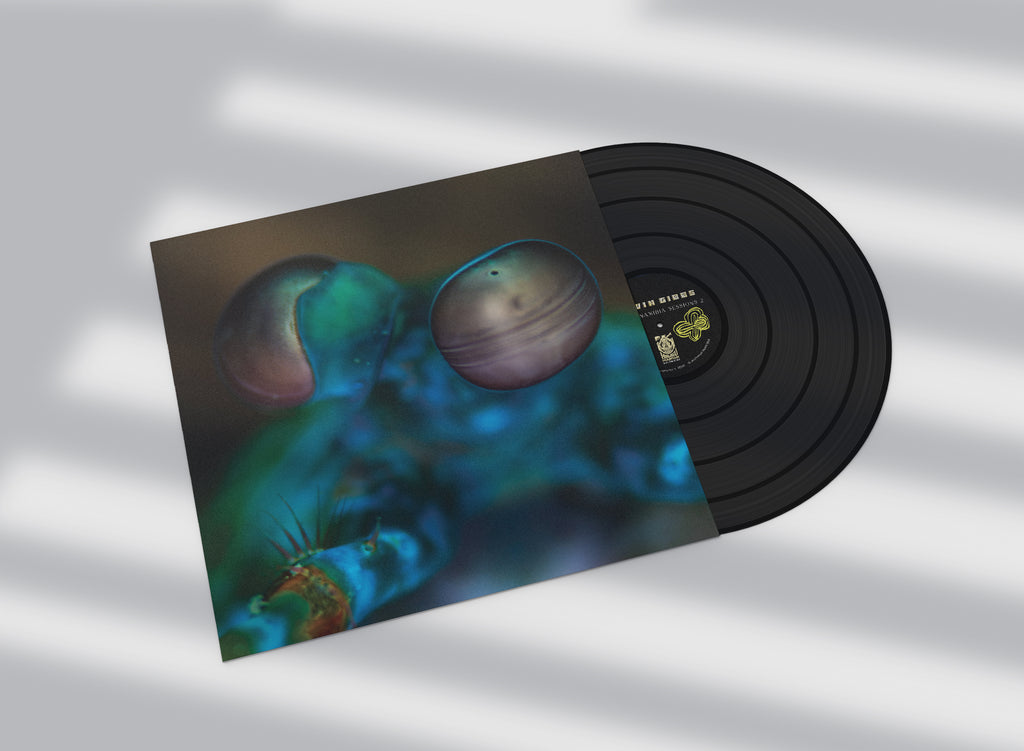 Melvin Gibbs - Amasia: Anamibia Sessions 2 (New Vinyl)