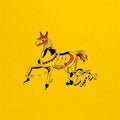 Meridian Brothers - VI (New Vinyl)
