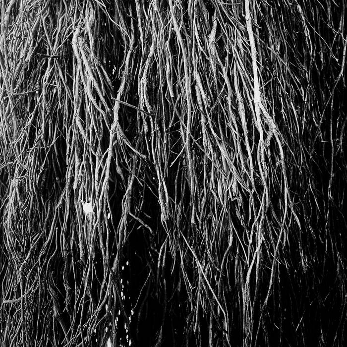 Merzbow, Cavalera & Bernocchi - Rainforest (New Vinyl)