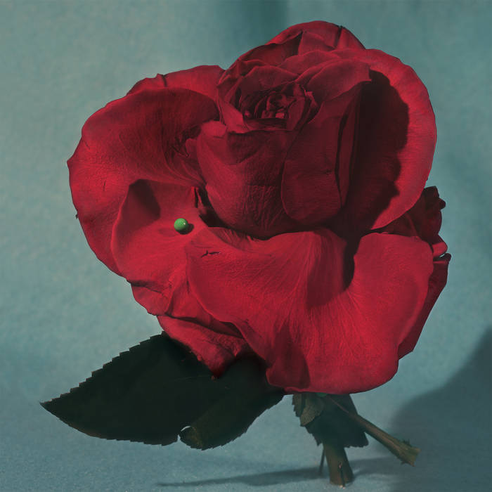 Metz - Up On Gravity Hill (Canadian Exclusive Red/Black) (New Vinyl)