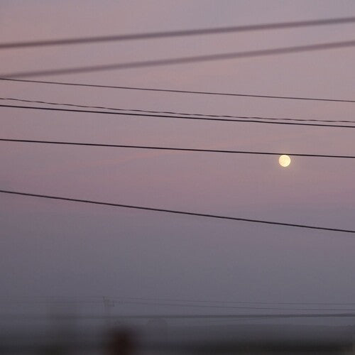 Michael Scott Dawson - Long Slow Distance (New Vinyl)