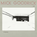 Mick Goodrick - In Pas(s)ing (New Vinyl)