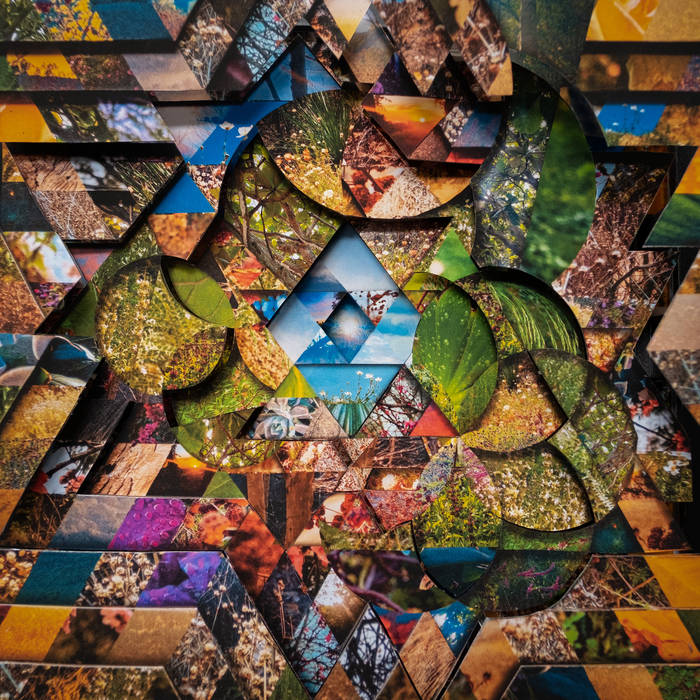 Miguel Atwood-Ferguson - Les Jardins Mystiques vol. 1 (New Vinyl)