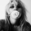 Miley - Bass Persuades (New Cassette)