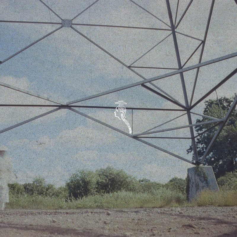 Monde UFO - Flamingo Tower (Pink Colour) (New Vinyl)