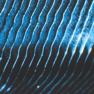 Monolake - Gravity (New Vinyl)